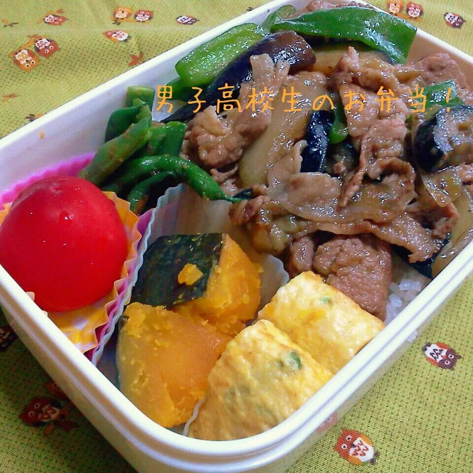 ナスと豚肉の味噌炒め弁当♪|ちびたまさん