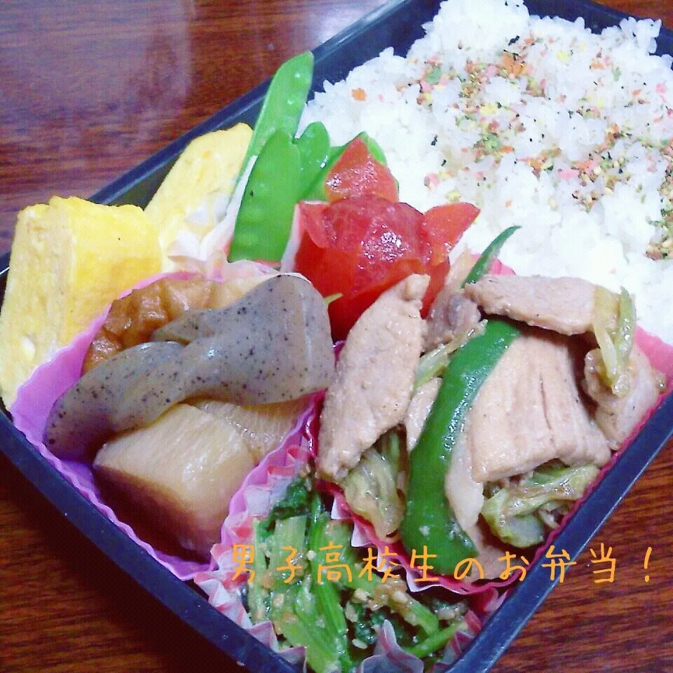 Snapdishの料理写真:豚肉とキャベツのみそ炒め弁当♪|ちびたまさん