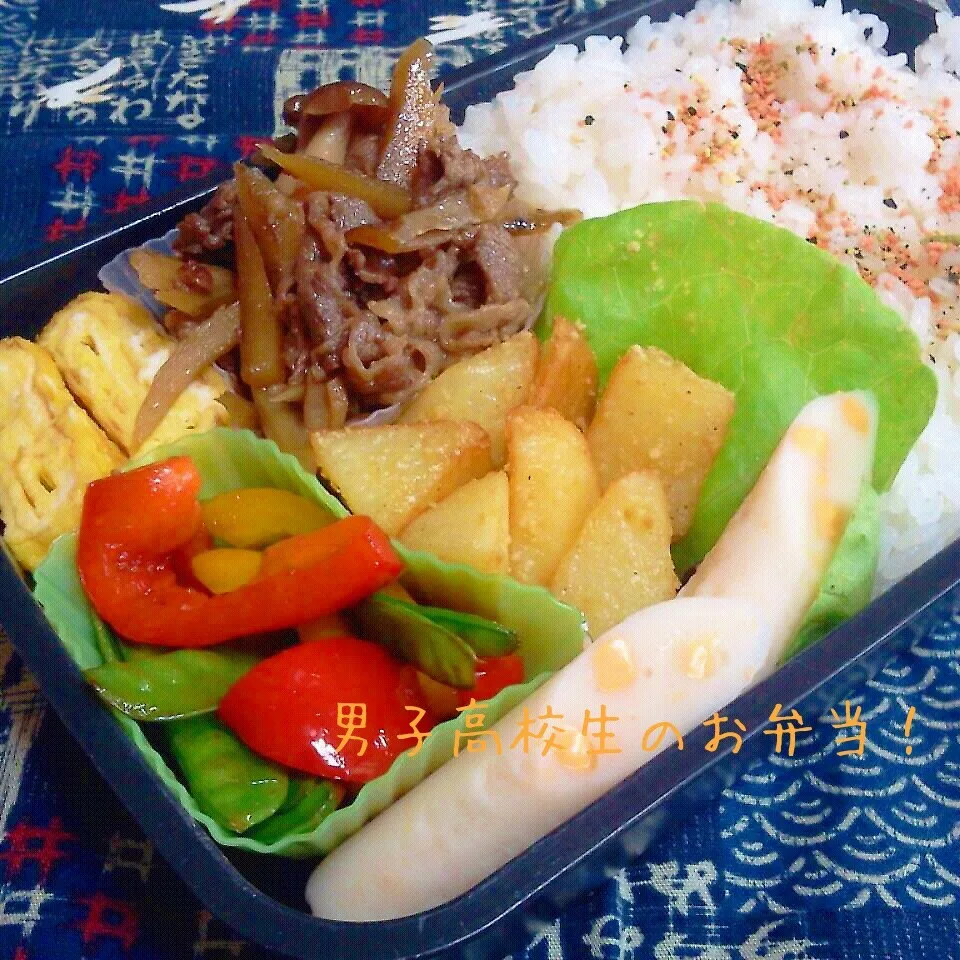 牛肉とゴボウの甘煮弁当♪|ちびたまさん