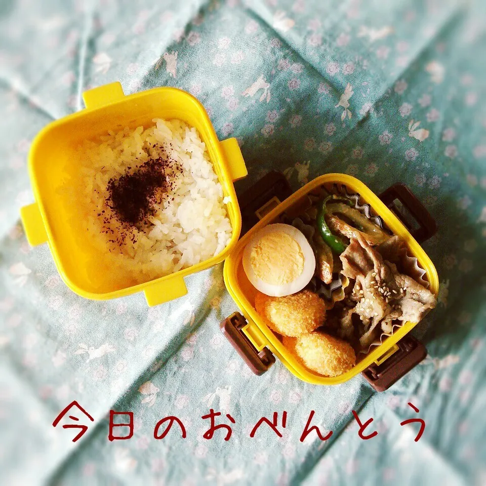 Snapdishの料理写真:高二弁当 8/23|ふ〜たん**さん