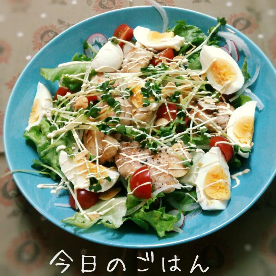 Snapdishの料理写真:チキンのおかずサラダ|ふ〜たん**さん