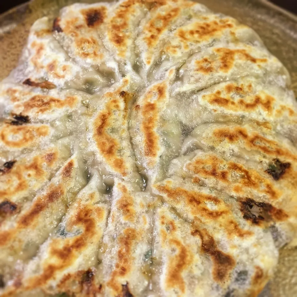 餃子練習はじめました☆|おいもさん