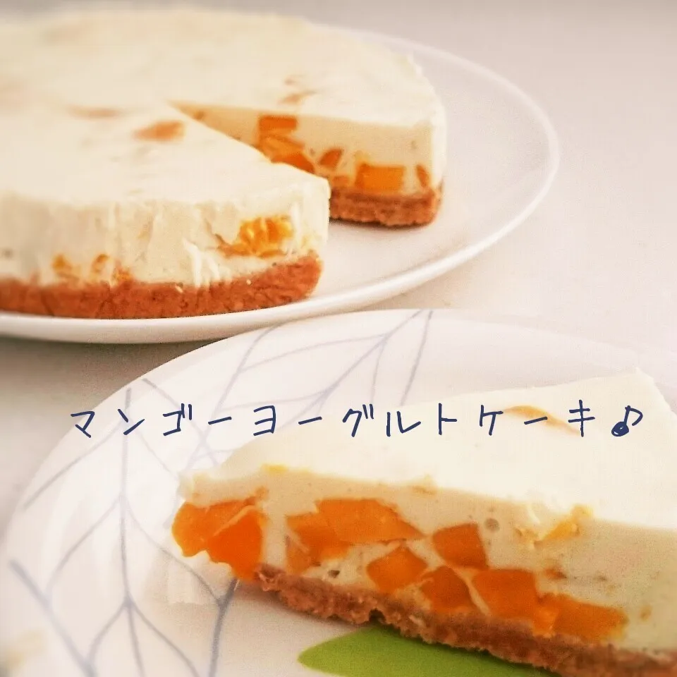 ドライマンゴーで‼プルンプルン簡単マンゴーヨーグルトケーキ♪|れんこさん