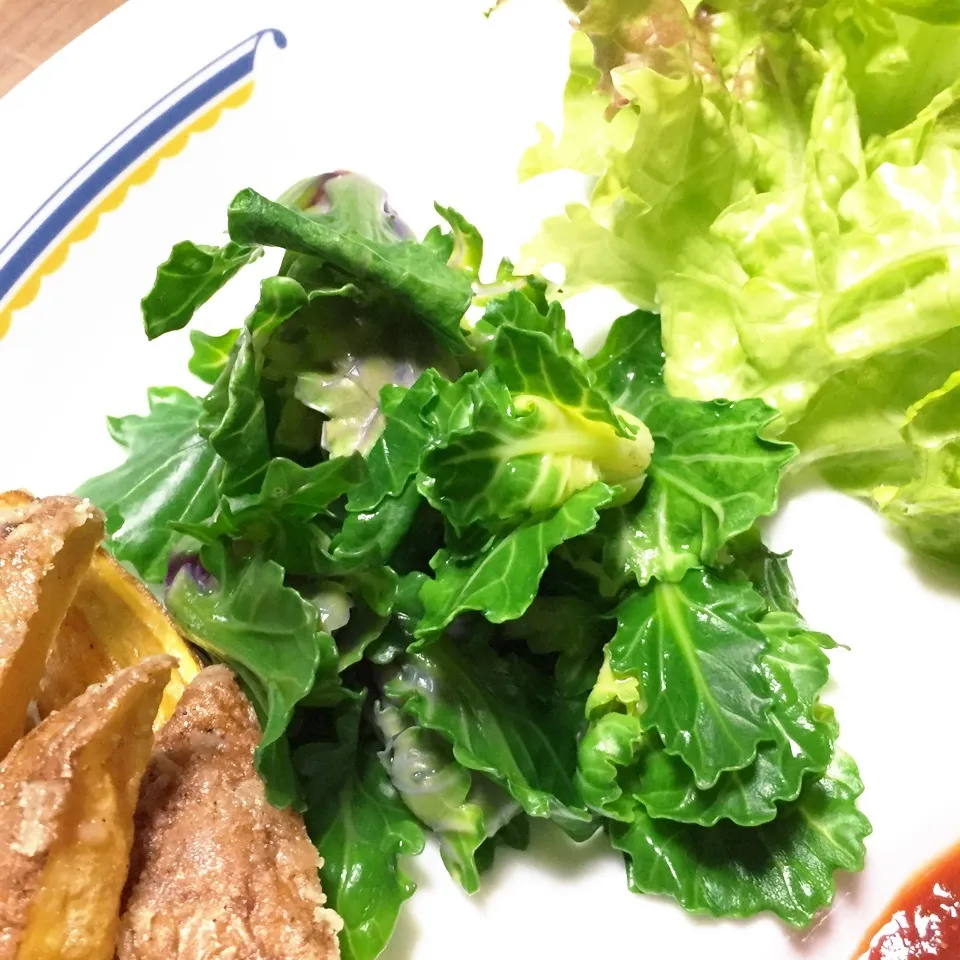 Snapdishの料理写真:塩茹でプチベール|ひだまり農園さん