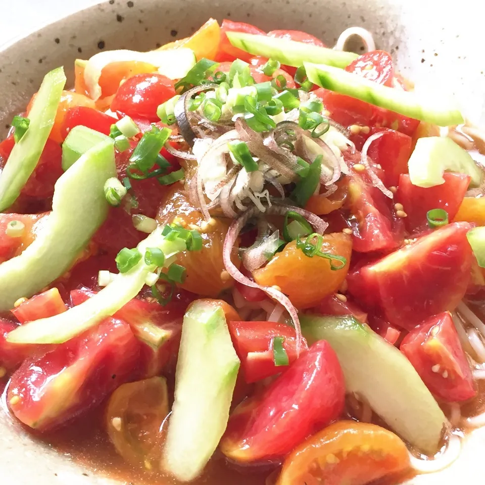 トマトときゅうりのぶっかけそうめん|ひだまり農園さん