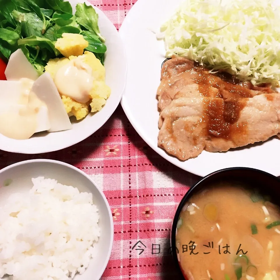 豚肉の生姜焼きと完全おうち野菜のサラダ|ひだまり農園さん