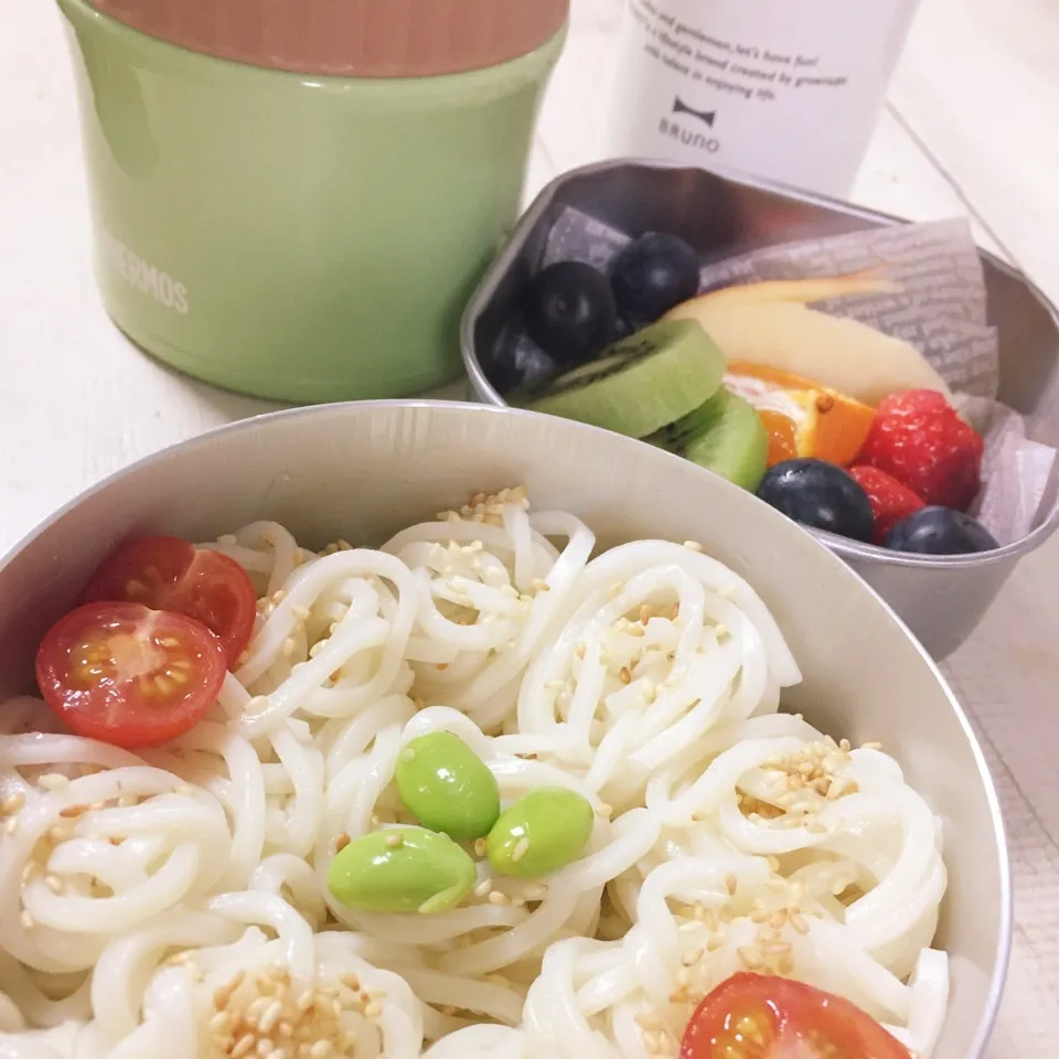 Snapdishの料理写真:肉と葱のつけ汁 うどん弁当|パウダーさん