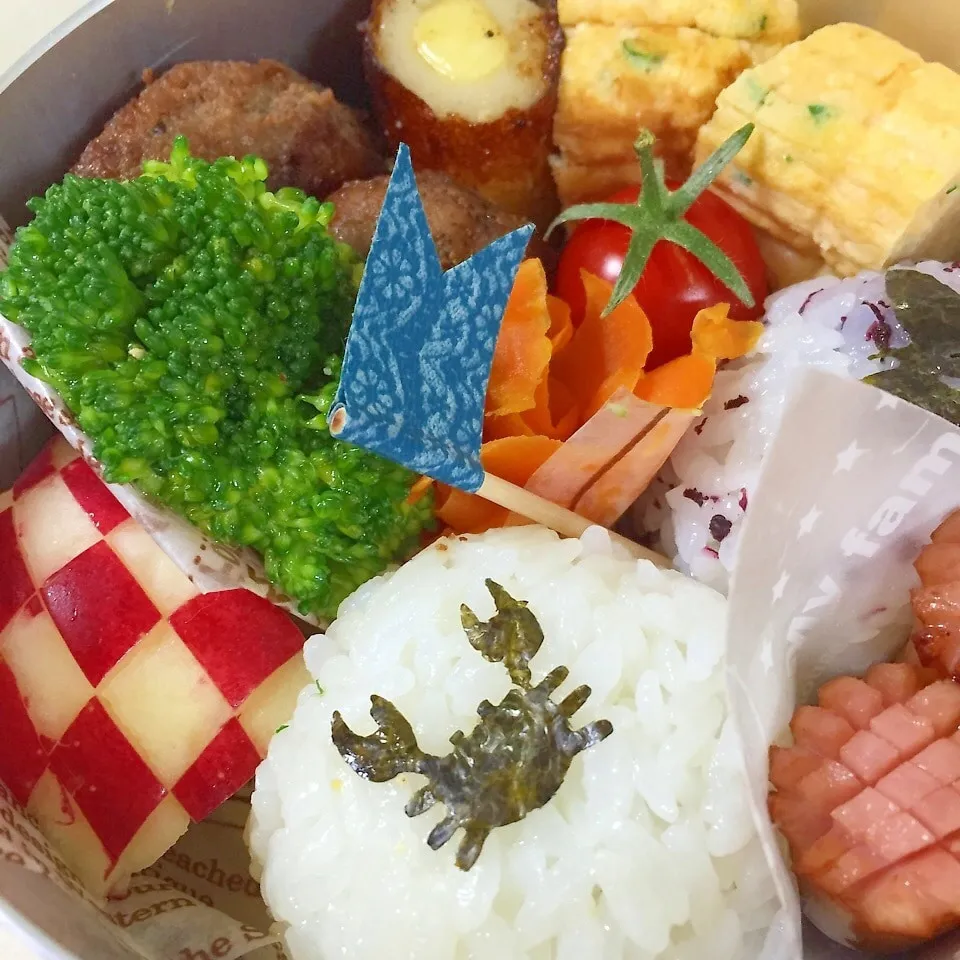 水族館遠足弁当|パウダーさん