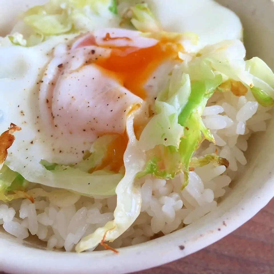 Snapdishの料理写真:巣ごもり卵の丼|パウダーさん