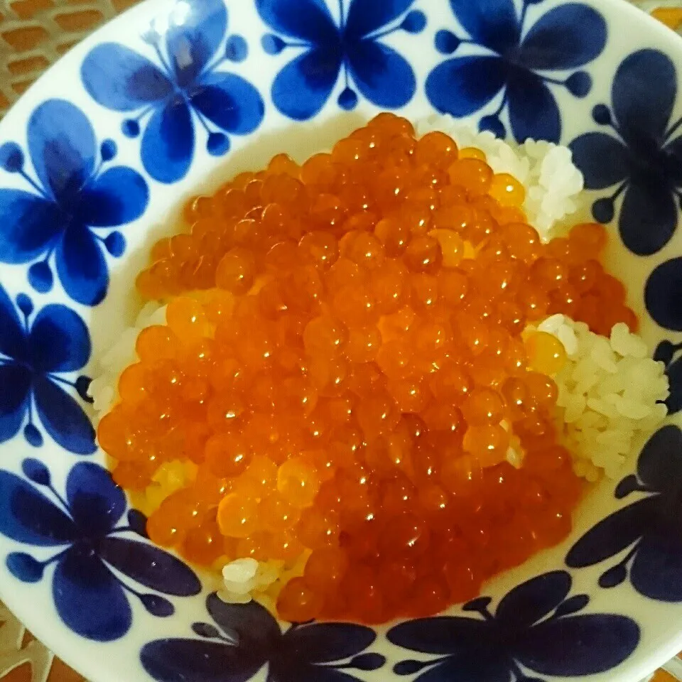 手作りいくら醤油漬けでいくら丼|momomotototokokokoさん