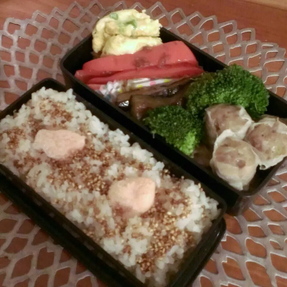 ☆お弁当:11Mar2016|momomotototokokokoさん