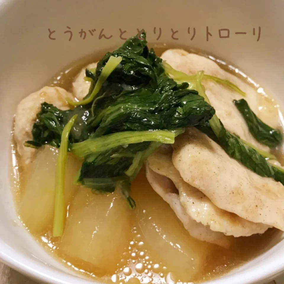 とうがんと鶏胸肉 鶏団子 トローリあんかけ|じぇじぇさん