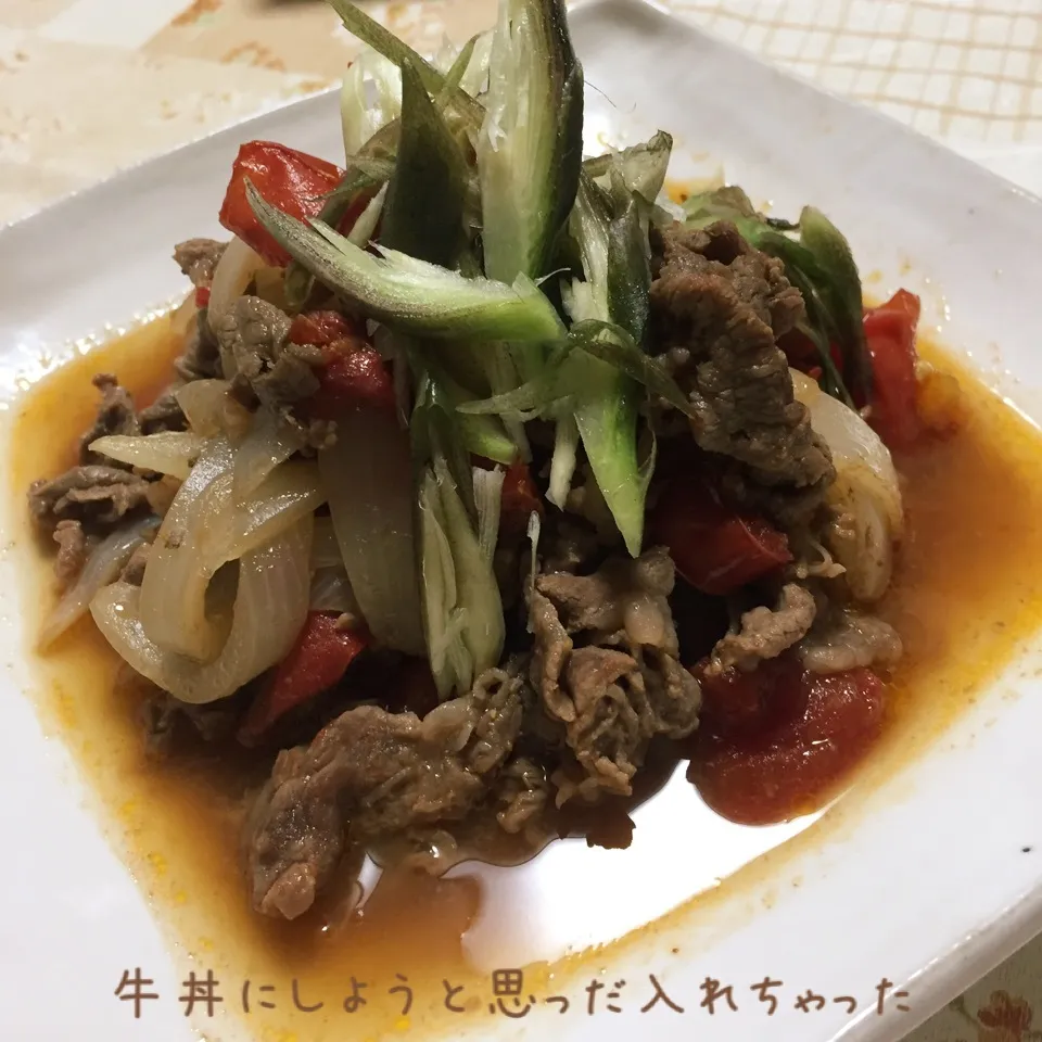 トマト入り牛玉ねぎ煮|じぇじぇさん