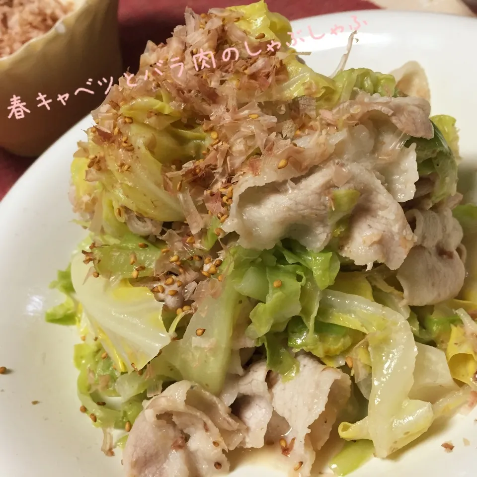 春キャベツとバラ肉ののしゃぶしゃぶ|じぇじぇさん