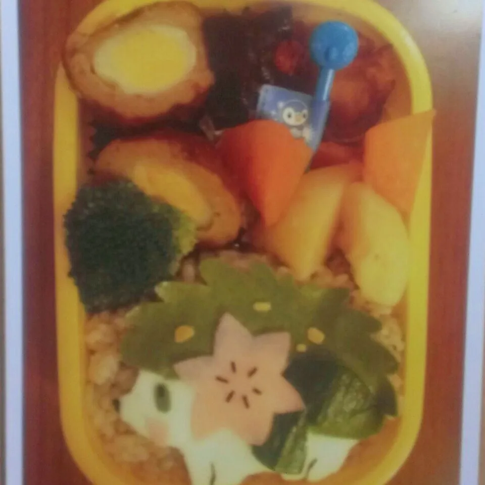 ☆息子の幼稚園時代のお弁当(かれこれ5年前)|momomotototokokokoさん