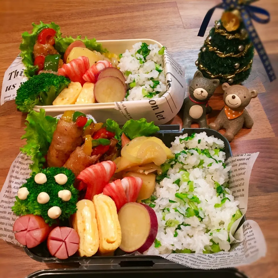 Snapdishの料理写真:菜飯弁当|rinrinさん