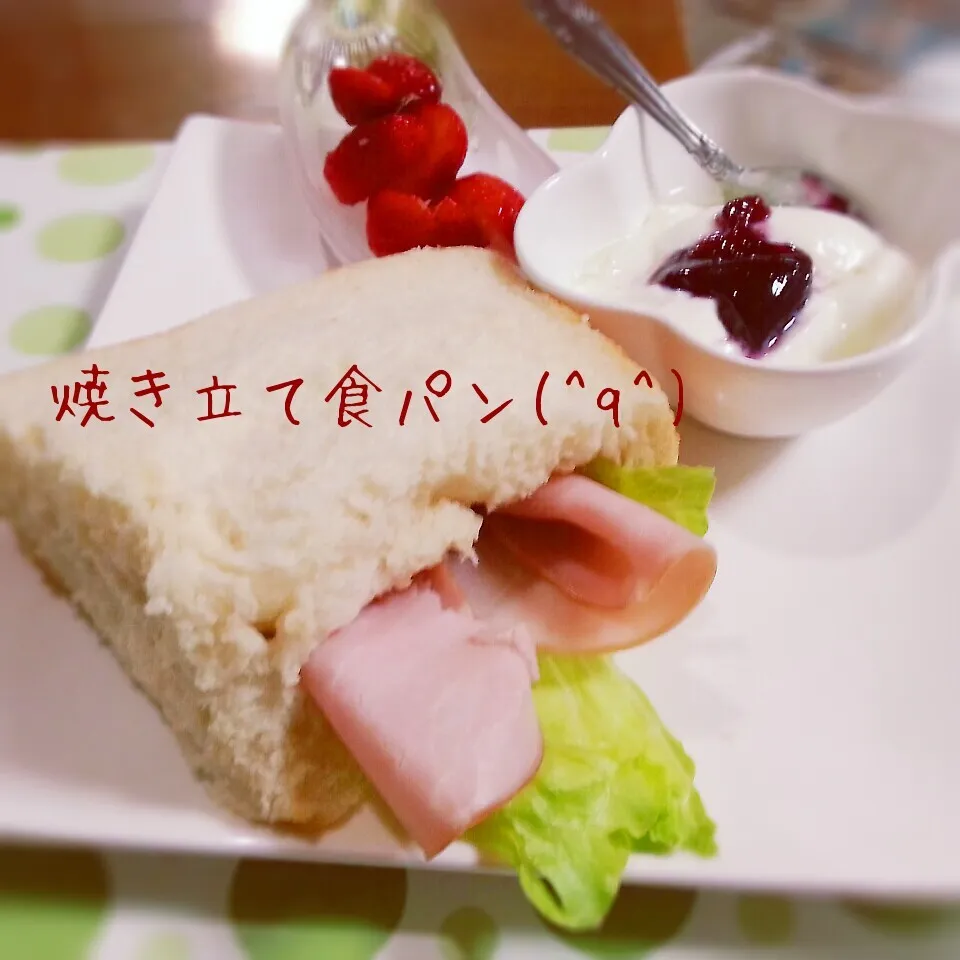 朝ごはん(⌒0⌒)／~~|りらさん