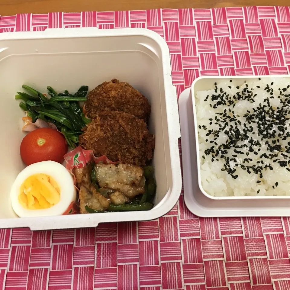 Snapdishの料理写真:5月19日 お弁当|ちゃんぐさん