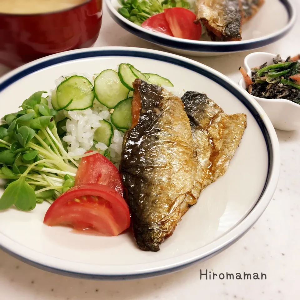 菜飯酢飯de鰯の蒲焼プレートランチ♪|ひろママさん