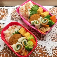 Snapdishの料理写真:お弁当|makipさん