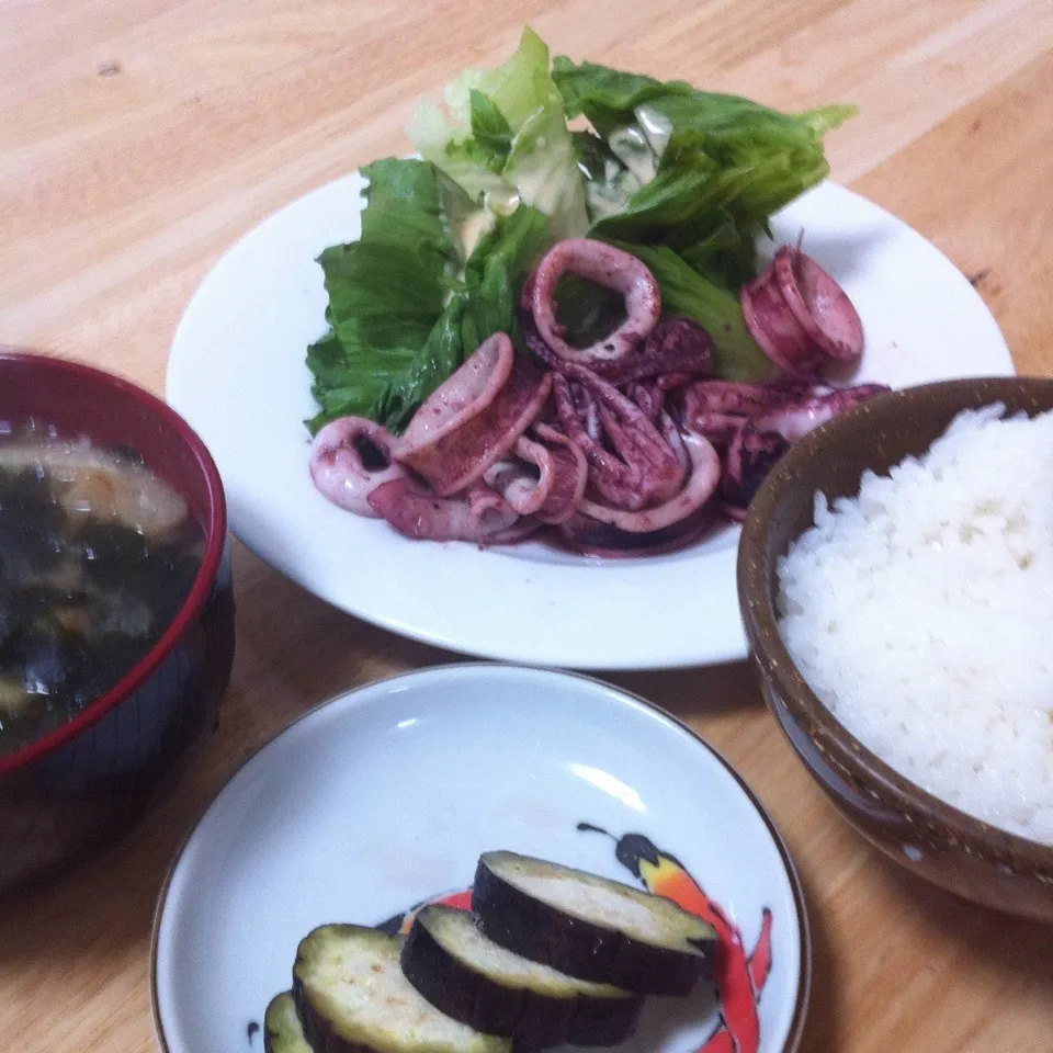 スルメイカの炒め物、定食|せんちゃんさん