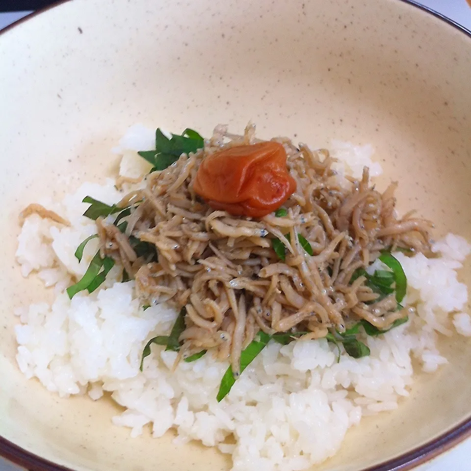 しらすの佃煮の丼  |せんちゃんさん