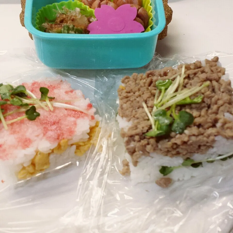 押し寿司弁当|きつねこかあさんさん