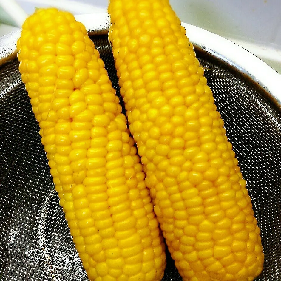 ♨茹でたて♨ とうもろこし🌽|きつねこかあさんさん