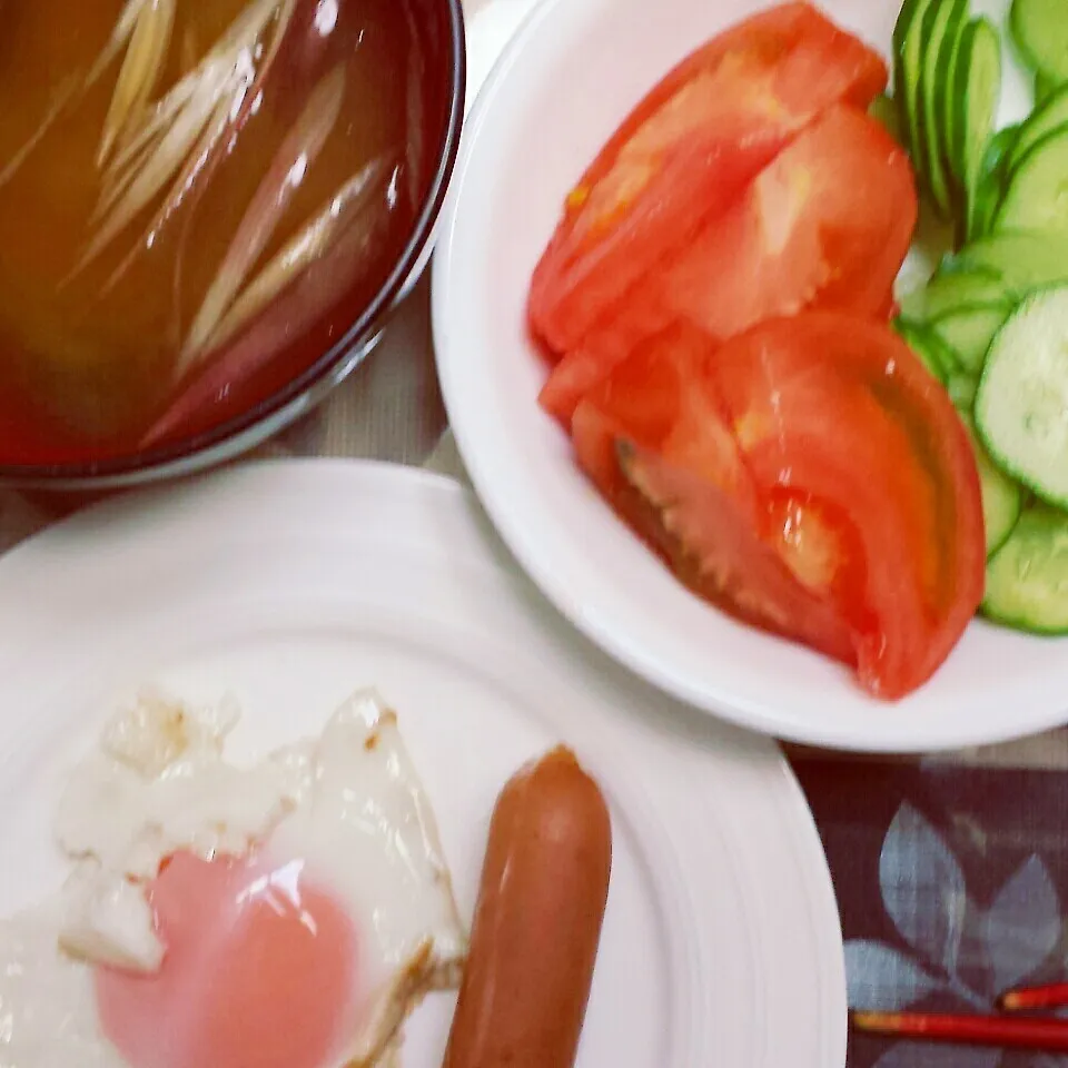 朝御飯|きつねこかあさんさん