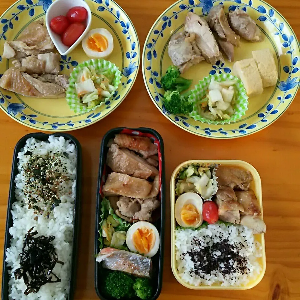 息子とオカン弁当＋旦那と娘の皿めし|まりさん