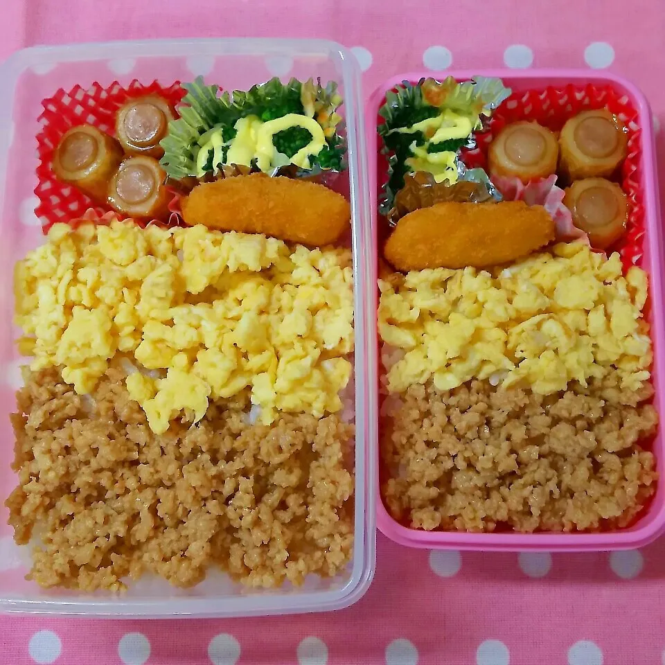 息子と娘弁当|まりさん