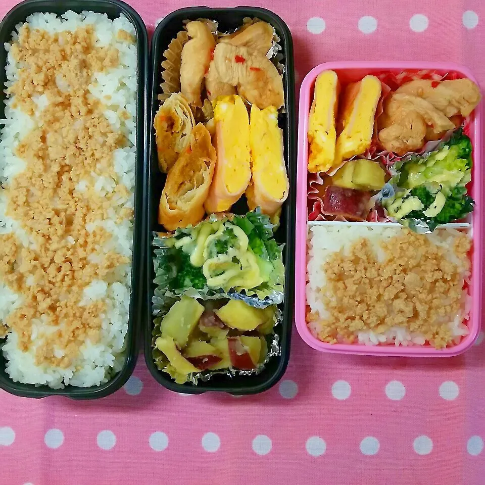 息子と娘弁当|まりさん