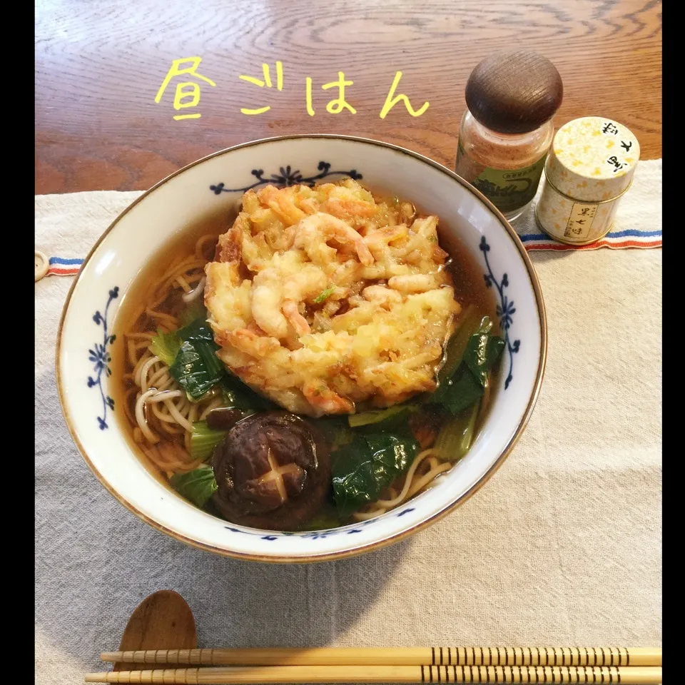 Snapdishの料理写真:天ぷら蕎麦|yakinasuさん