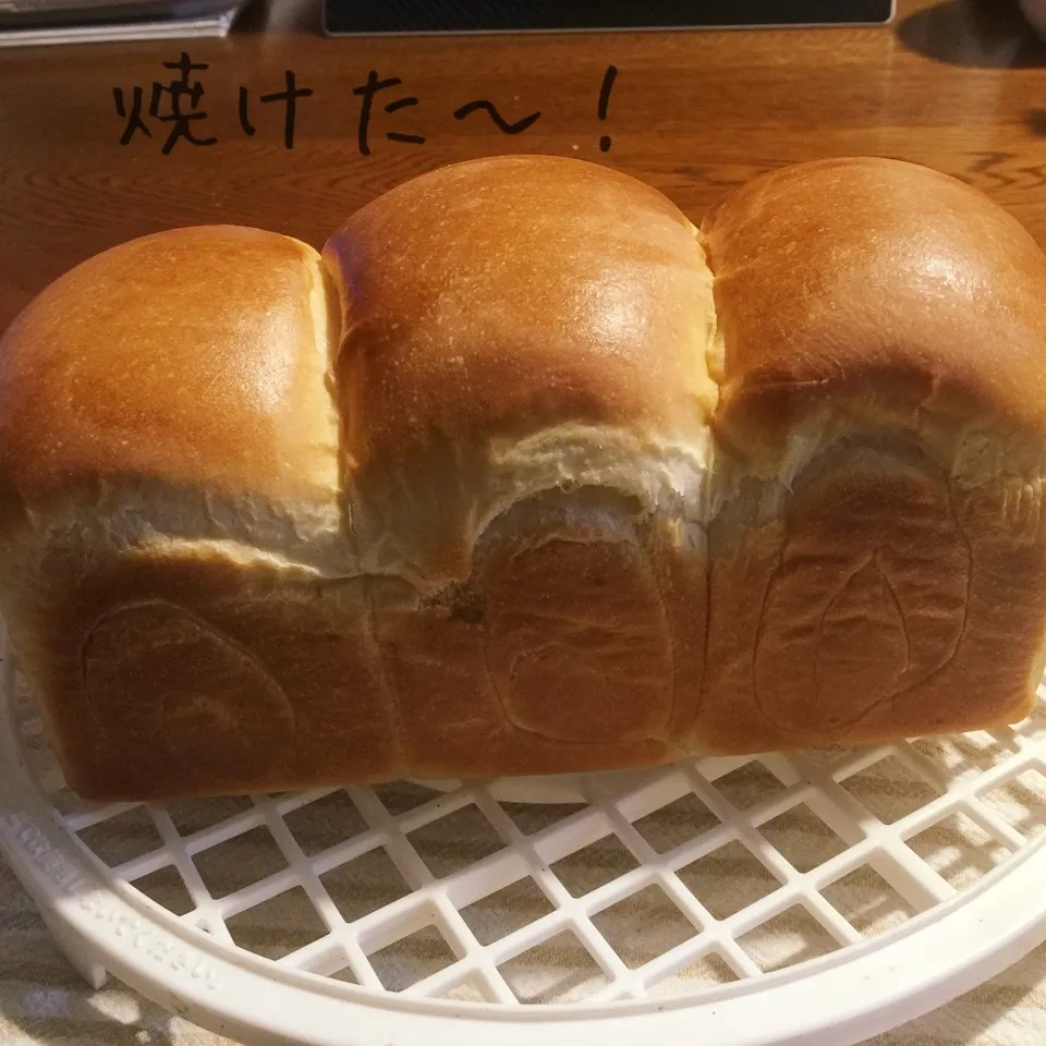 Snapdishの料理写真:ミルク食パン|yakinasuさん