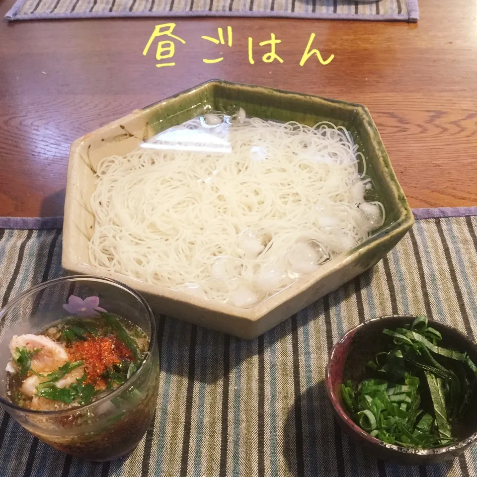 そうめん、蒸し鶏|yakinasuさん