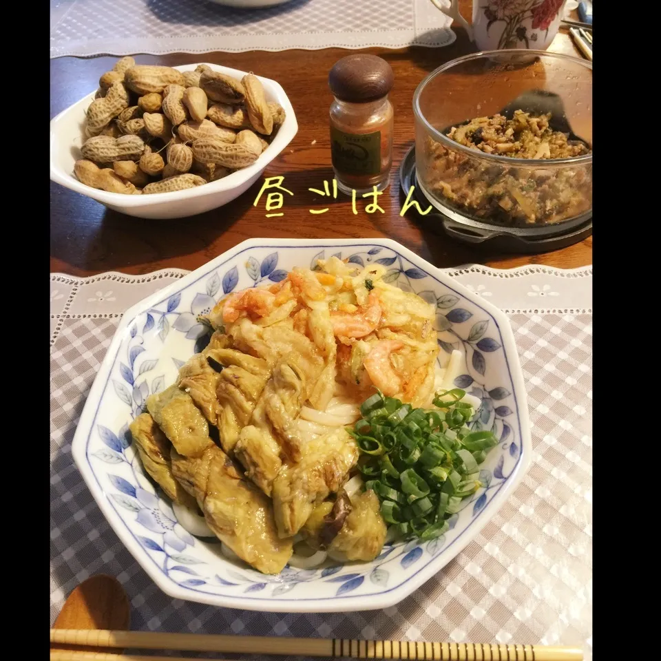 冷やしぶつかけうどんやきなすかき揚げ 茹で落花生|yakinasuさん