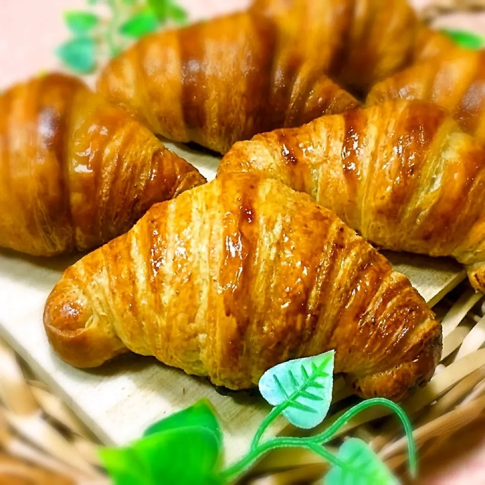 初めての自家製酵母クロワッサン♬|kurokomamaさん