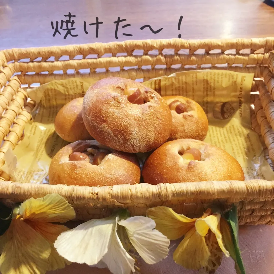 蜂蜜全粒粉の生地で胡桃とスモークチーズパン|yakinasuさん