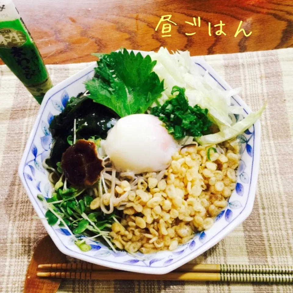 Snapdishの料理写真:冷やしたぬき蕎麦|yakinasuさん