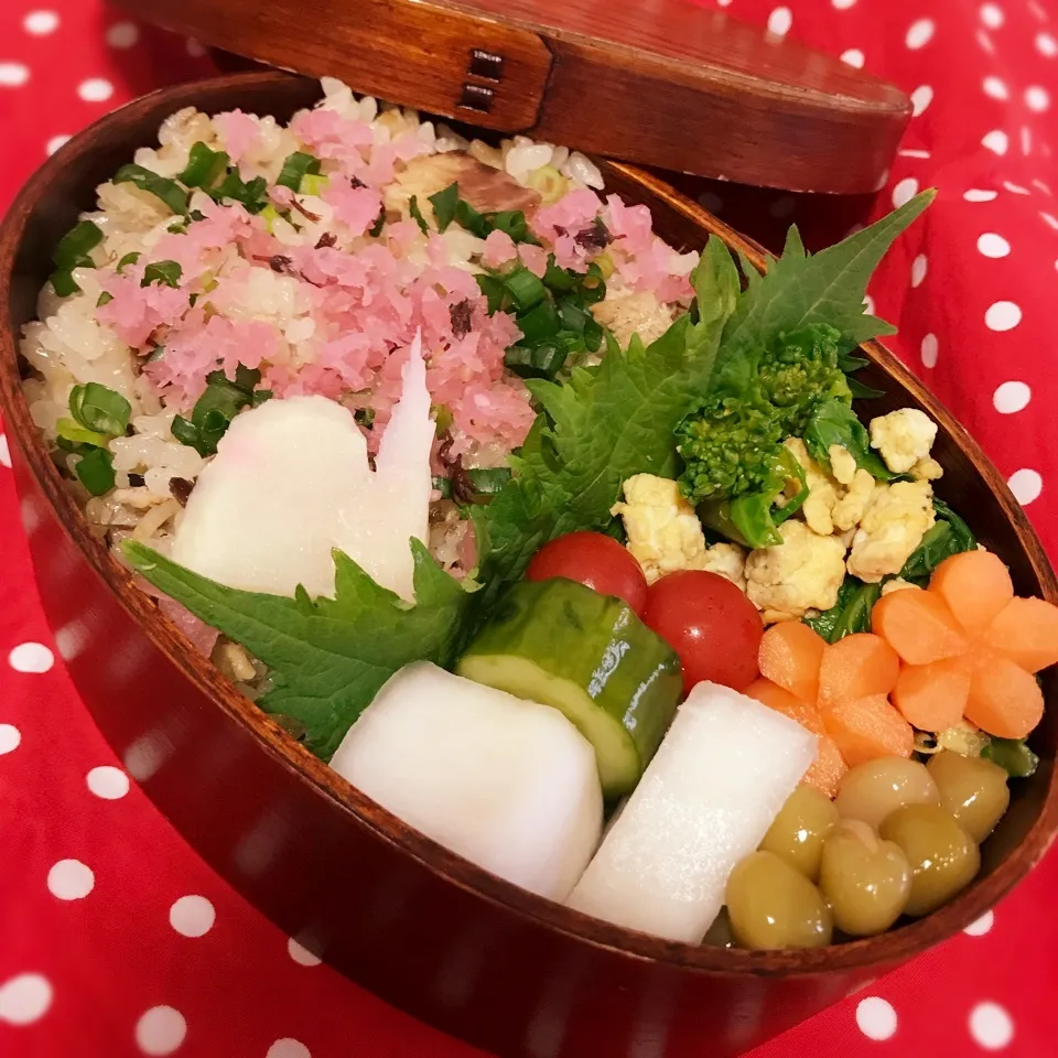 春爛漫🌸鯖の炊き込みご飯と菜の花と卵のおひたし曲げわっぱ|Yumiko Ozakiさん