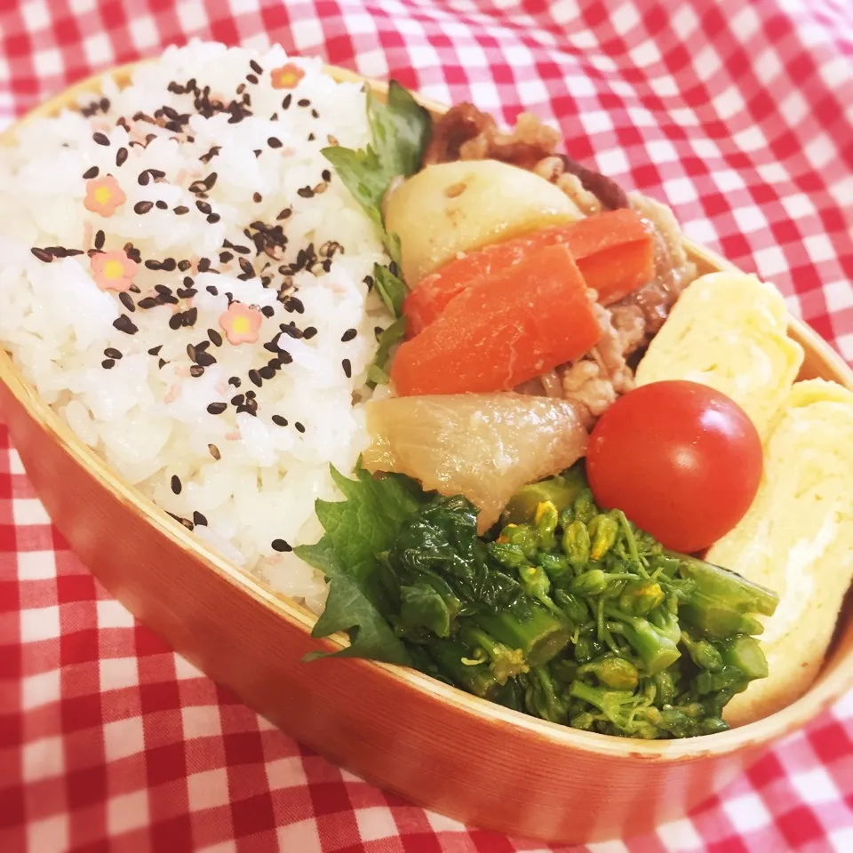 Snapdishの料理写真:春の肉じゃが弁当|Yumiko Ozakiさん