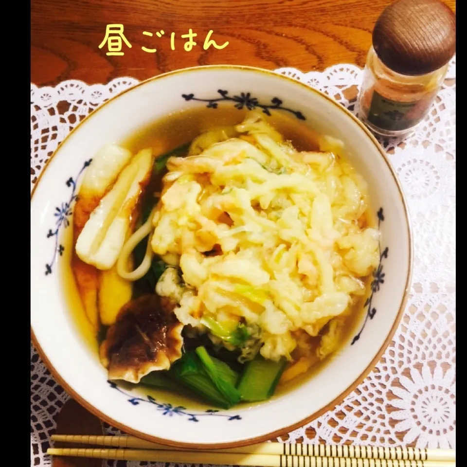 Snapdishの料理写真:天ぷらうどん|yakinasuさん