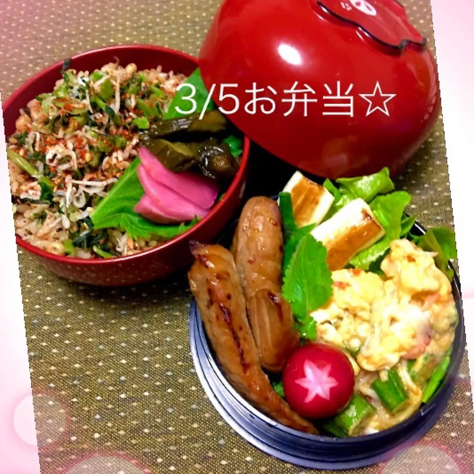 やっぱり好きなのっ♡たぬきご飯と鮪のはらみ焼弁当☆|chouchouさん