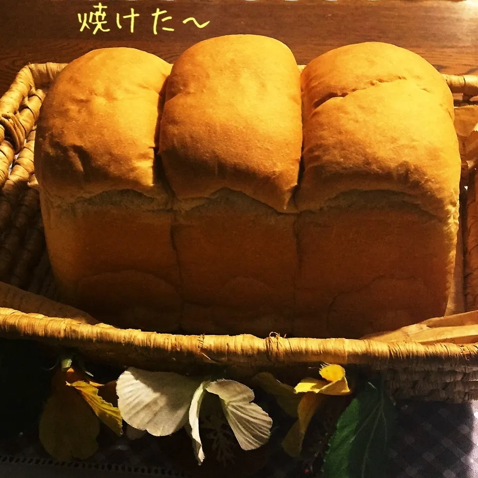 黒糖山食パン、例によって、一山は甘納豆入りです|yakinasuさん