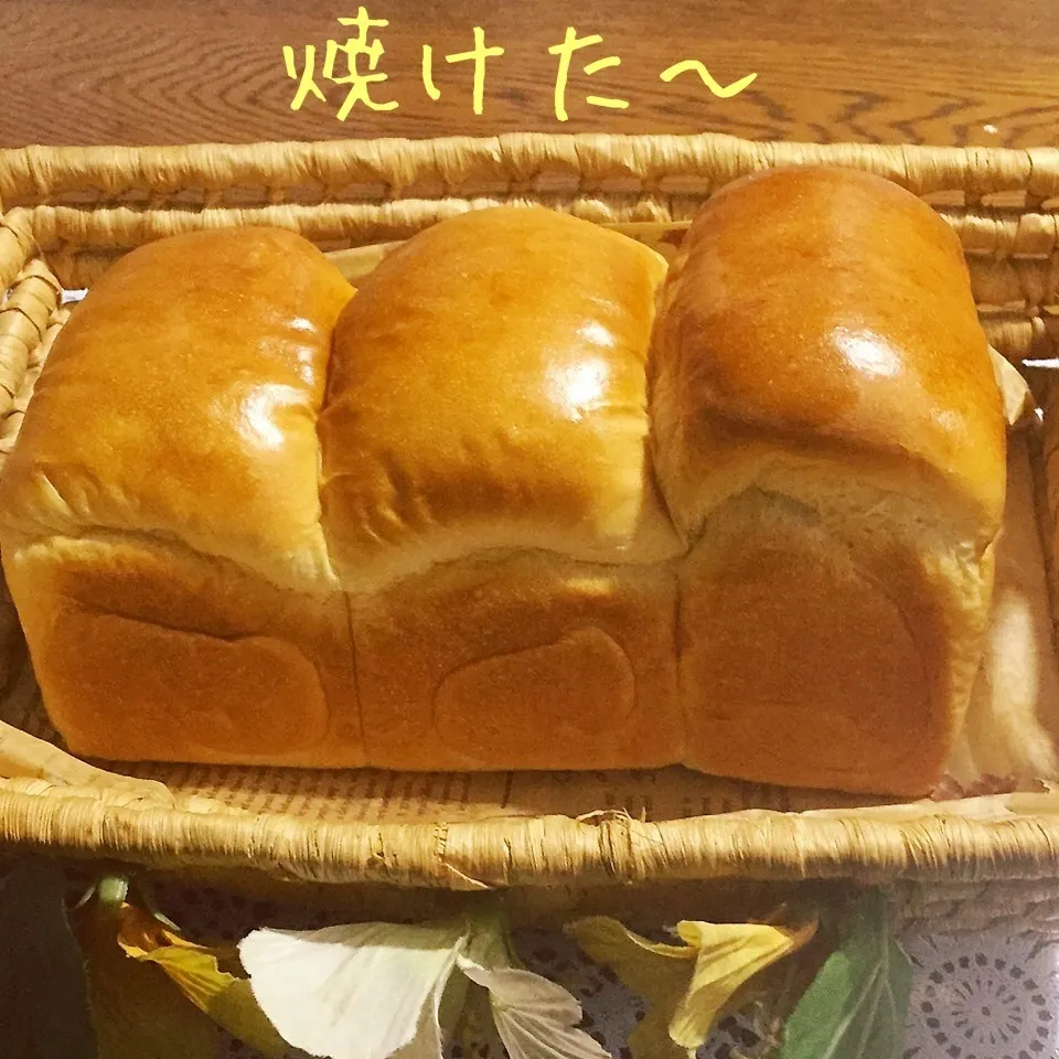 ミルク食パン。一山は甘納豆巻き込んでます|yakinasuさん