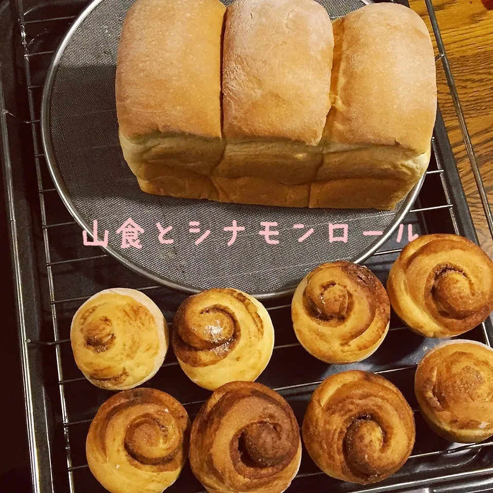 Snapdishの料理写真:ミルク食パンと、シナモンロール|yakinasuさん