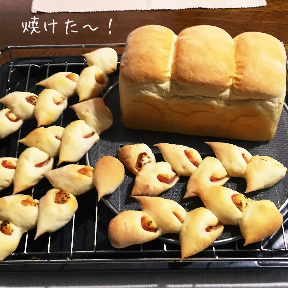 Snapdishの料理写真:白神こだま酵母で山食パンと、ベーコンエピ|yakinasuさん