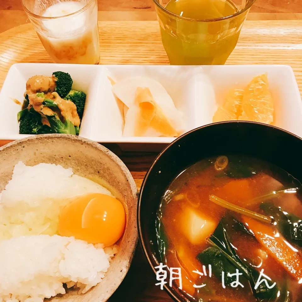 朝 2018.3.5|ささなおさん