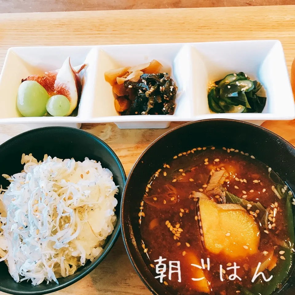 朝 2017.9.18|ささなおさん