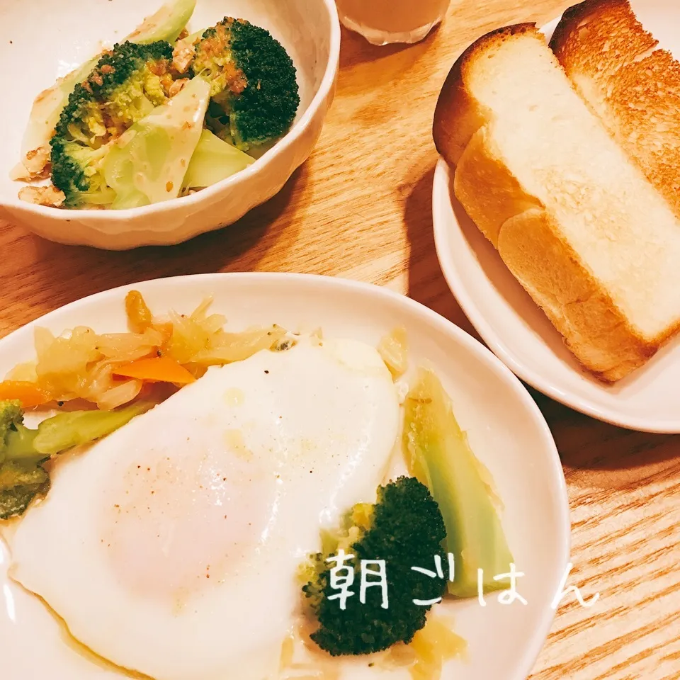 朝 2017.2.27|ささなおさん